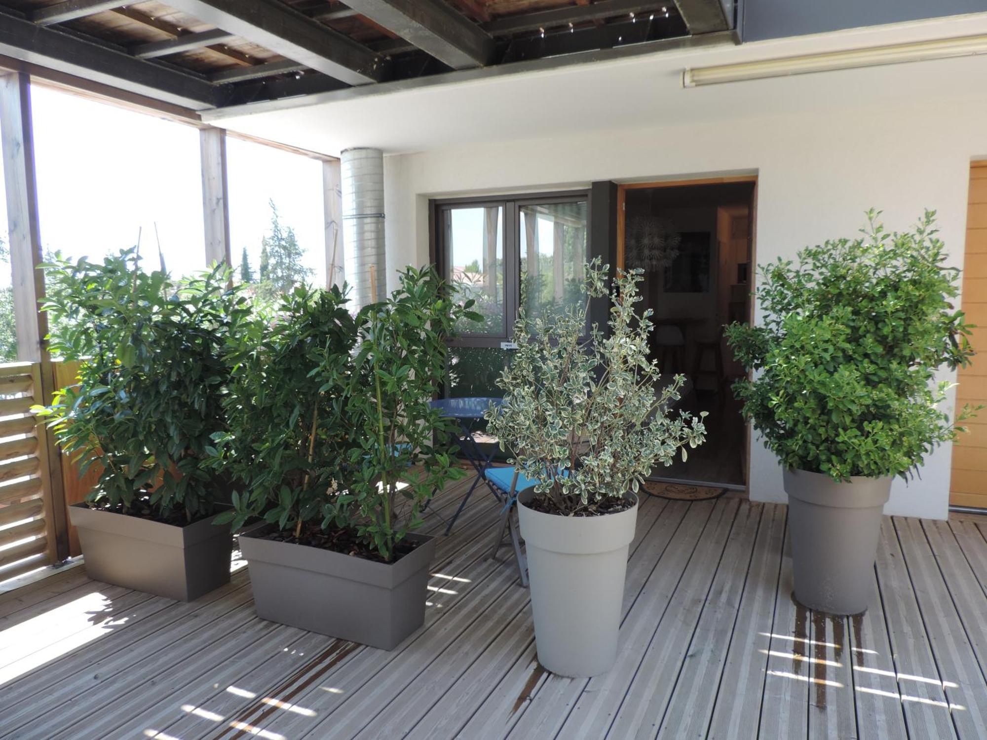 Studios Nuitée en Provence Aix-en-Provence Extérieur photo